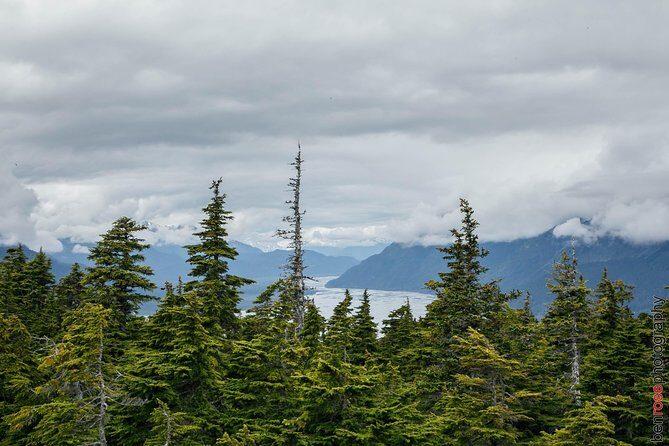 Full-Day Mount Riley Hike from Haines - The Stops Along the Way