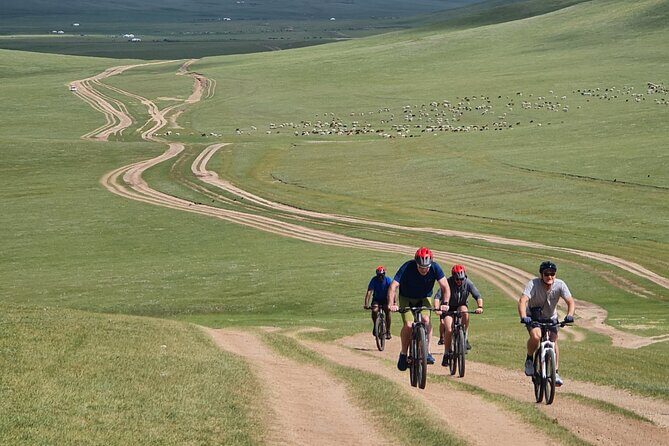 Full Day Mountain Biking Tour in Khan Khenty National Park - Final Thoughts