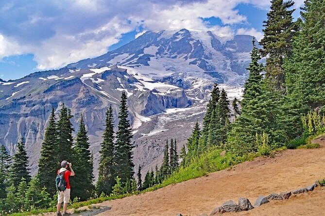 Full-Day Mt Rainier National Park Private Tour in SUV - What to Expect from the Itinerary