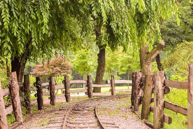 [ Full Day ] Nami Island, Petite France and Hot place Myeongdong! - A Closer Look at the Itinerary