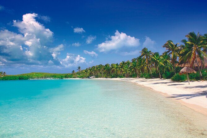 Full Day Nature Expedition to Contoy Island and Isla Mujeres - Balancing the Experience: Pros and Cons