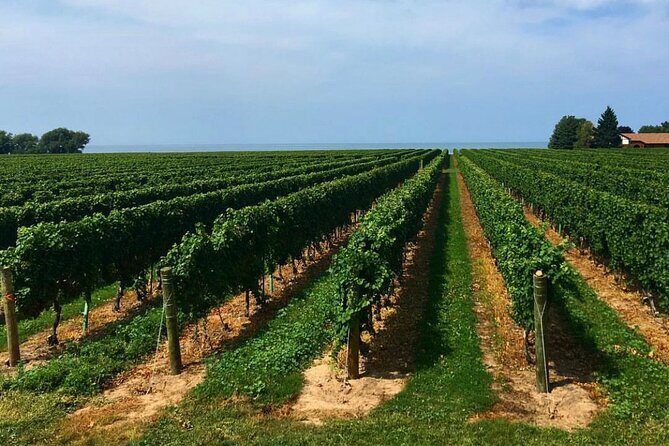 Full-Day Niagara-On-The-Lake Guided Wine and Charcuterie Tour - Authentic Experiences and Genuine Insights