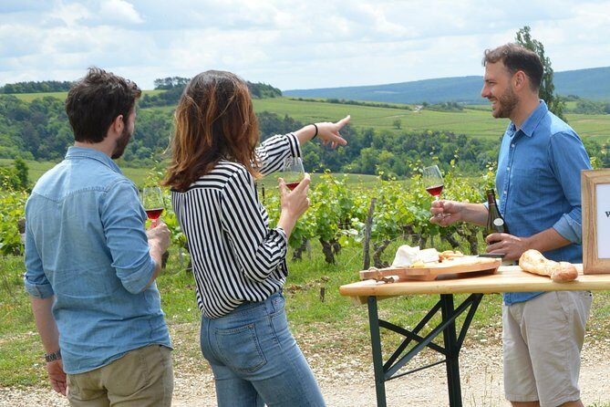 Full-Day North Burgundy and Chablis Wine Tasting Tour from Paris - An In-Depth Look at the Tour Experience