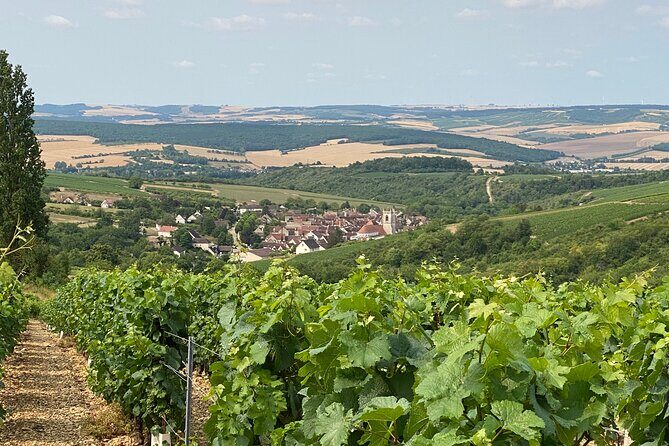 Full-Day North Burgundy and Chablis Wine Tasting Tour from Paris - Final Thoughts