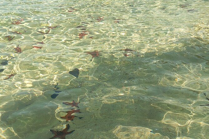 Full Day North of Phu Quoc Island Private Tour by Local Guide - Who Will Love This Tour?