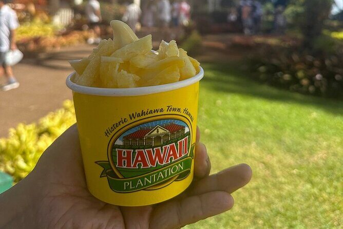 Full day Oahu´s North Shore Circle Island & Snorkeling w/ Turtles - The Sum Up