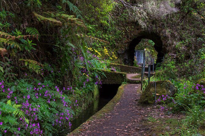 Full Day of Wonders: Madeira 4x4 Private Tour - Who Would Love This Tour?