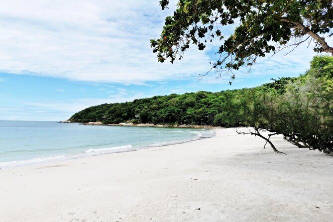 Full-Day on Koh Samet from Pattaya - What Travelers Say