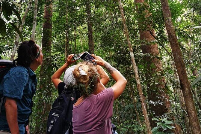 Full-Day Orangutans Adventure in Gunung Leuser - Key Points
