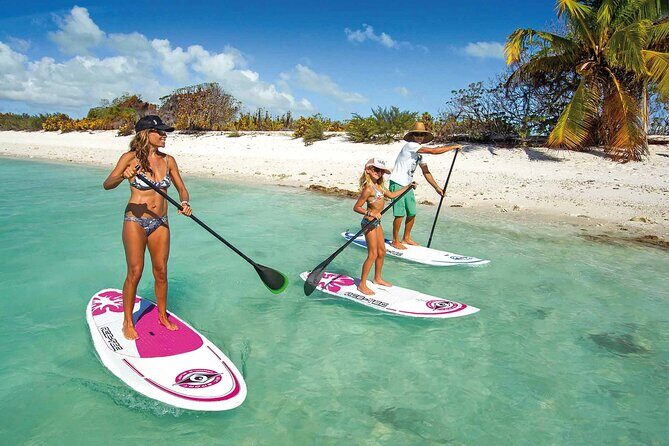 Full-Day Paddle Board Rental in Naples, Florida - What to Expect from Your Naples Paddleboard Day