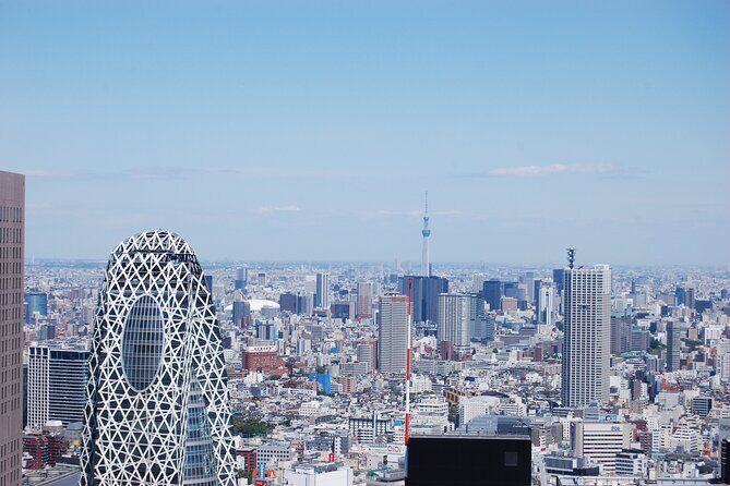 Full-Day Panoramic Bus Tour in Tokyo with Bay Cruise - Final Thoughts