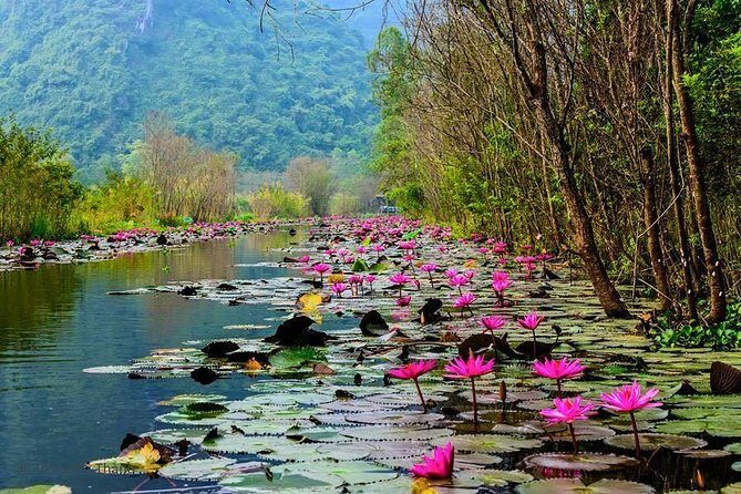 Full-Day Perfume Pagoda Small-Group Tour - The Full Experience Breakdown
