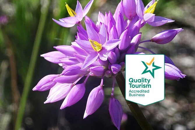 Full-Day Perth, Fremantle, Swan Valley & Wildlife Park - Practical Details and What to Expect