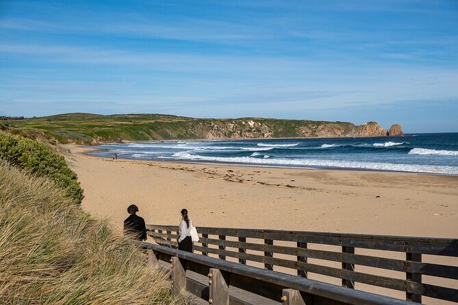 Full-Day Phillip Island Tour with Kangaroo, Koala and Penguin Parade - The Reviews: A Balanced View