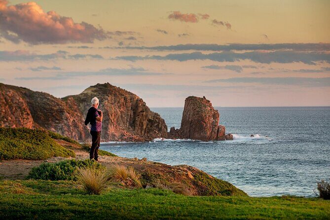 Full-Day Phillip Island Tour with Kangaroo, Koala and Penguin Parade - Who Would Enjoy This Tour?