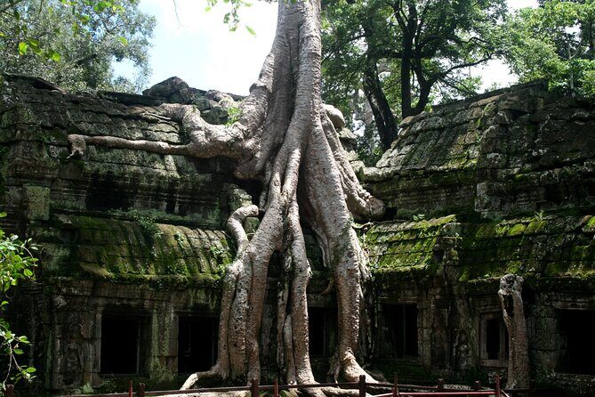 Full-Day Photo Tour Angkor Wat from Siem Reap - FAQs