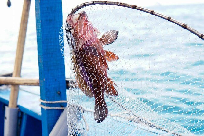 Full-day Phu Quoc Island Snorkeling Adventure - FAQ