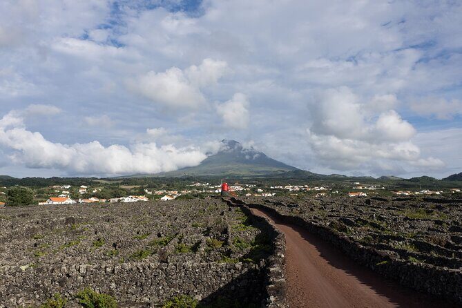 Full-Day Pico Island Tour from Horta - An In-Depth Look at the Pico Island Tour