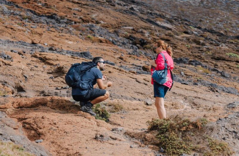 Full Day Ponta de São Lourenço - Natural Reserve - FAQ
