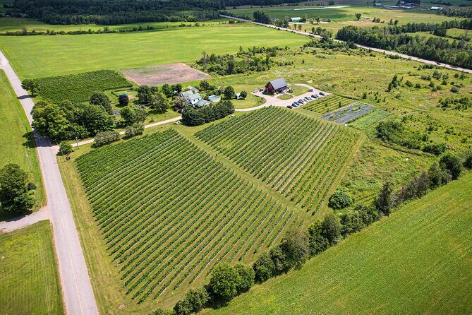 Full Day Pontiac Wine & Cider Tour - Day Trip From Ottawa & Gatineau - What’s Included and Why It Matters