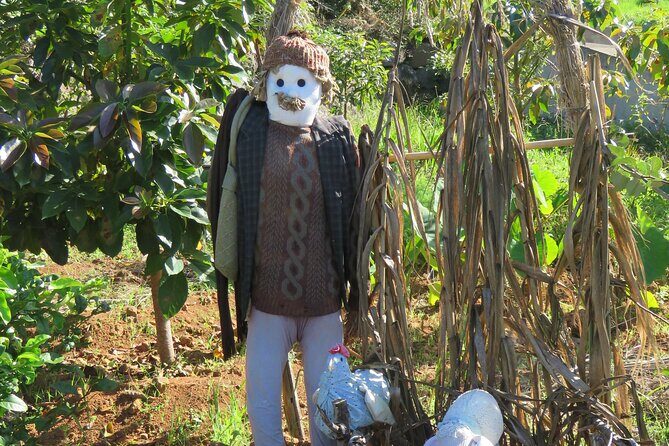 Full Day Private 4x4 Adventure in Madeira - Exploring Madeira on Your Terms