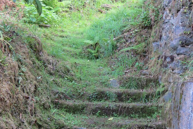 Full Day Private 4x4 Adventure in Madeira - Value for Money