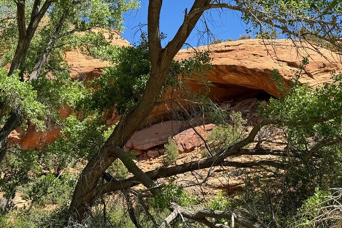 Full Day Private 4x4 Guided Jeep Experience in Moab - Practical Details & Booking