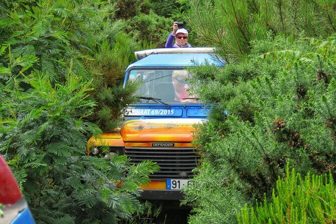 Full Day Private 4x4 Tour in West Madeira with Local Guide - The Price and What It Means for You