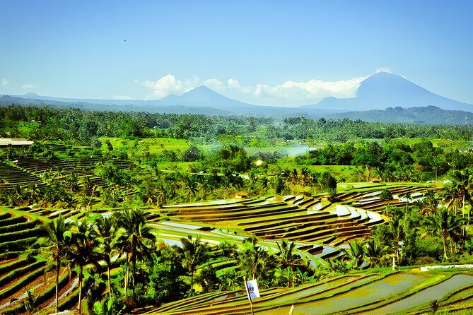 Full-Day Private Bali Car Charter with English Speaking Driver - Key Points