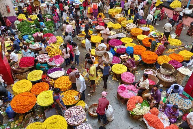 Full-Day Private Bangalore City Tour by Metro Train - An In-Depth Look at the Bangalore Tour by Metro Train