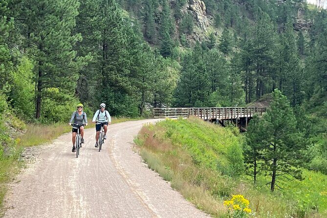Full-Day Private Bike Tour of Mickelson Trail and Brewery - Possible Drawbacks and Considerations