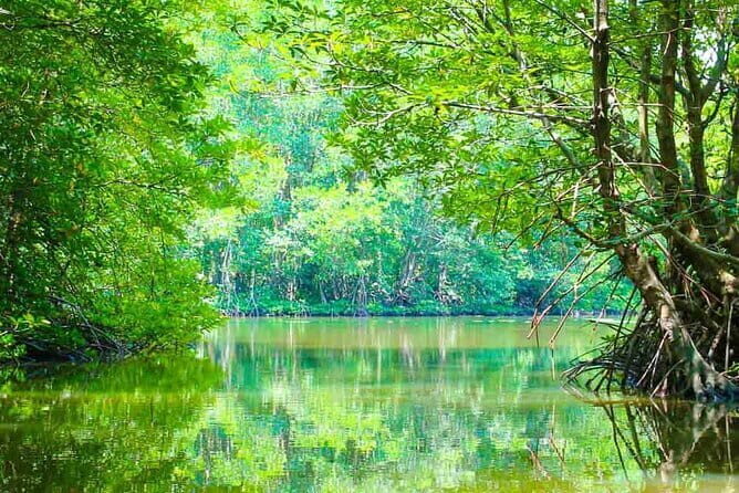 Full-Day Private Bike Tour of the Cu Chi Tunnels with Lunch - FAQ