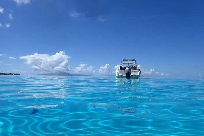 Full-Day Private Boat Tour of Bora Bora Lagoon with Snorkel - Who Should Book This Tour?