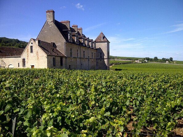 Full-day Private Burgundy Wine Route Tour from Beaune - Full-day Private Burgundy Wine Route Tour from Beaune