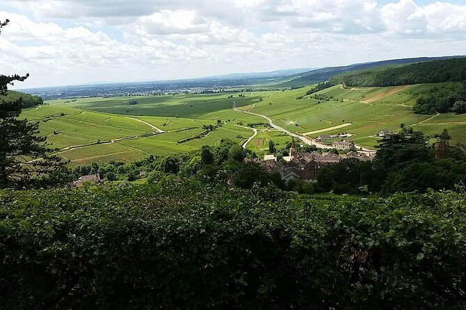 Full-day Private Burgundy Wine Route Tour from Beaune - What We Loved About This Tour