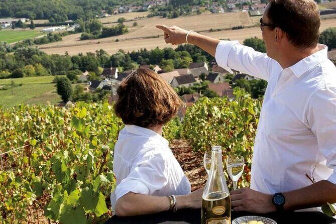 Full-Day Private Champagne Tasting in Reims and its Vineyards - Introduction