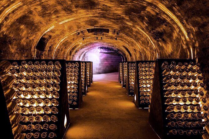 Full-Day Private Champagne Tasting in Reims and its Vineyards - Who Should Consider This Tour