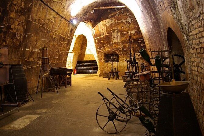 Full-Day Private Champagne Tasting in Reims and its Vineyards - The Sum Up