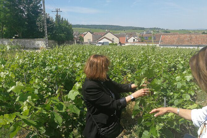 Full-Day Private Champagne Tasting in Reims and its Vineyards - FAQ