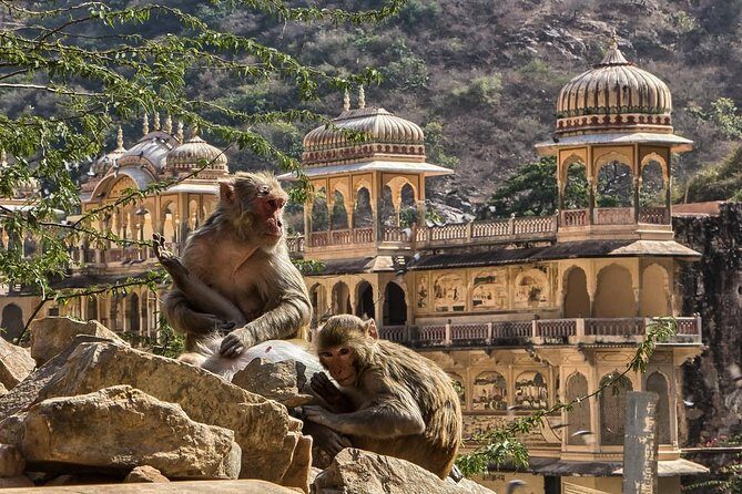 Full-Day Private City Tour of Jaipur - Who Will Love This Tour?