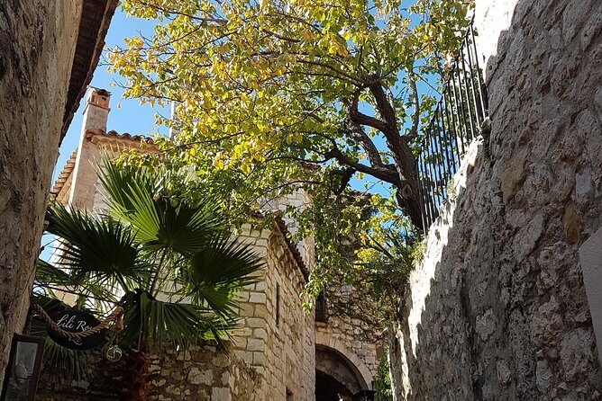 Full Day Private Custom French Riviera Tour from Nice - Final Thoughts