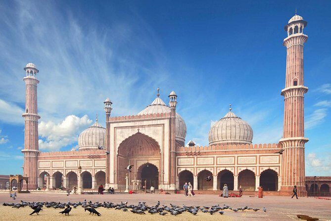 Full Day Private Custom Tour of New Delhi - Final Thoughts: Is It Worth It?