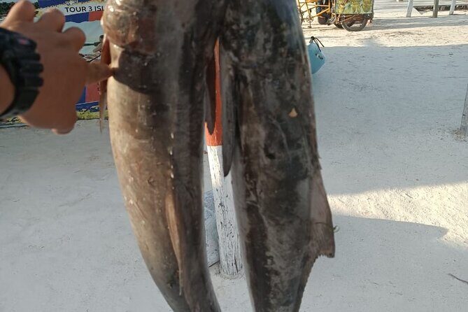 Full Day Private Deep Sea Fishing in Holbox - FAQ
