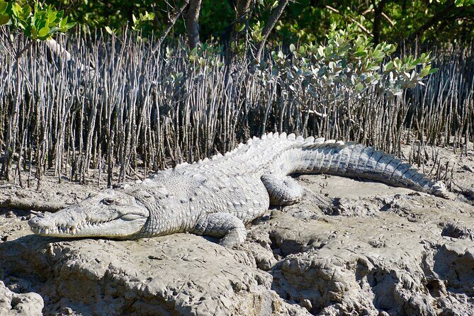 Full-Day Private Everglades and Miami City Tour - What’s Included and What’s Not