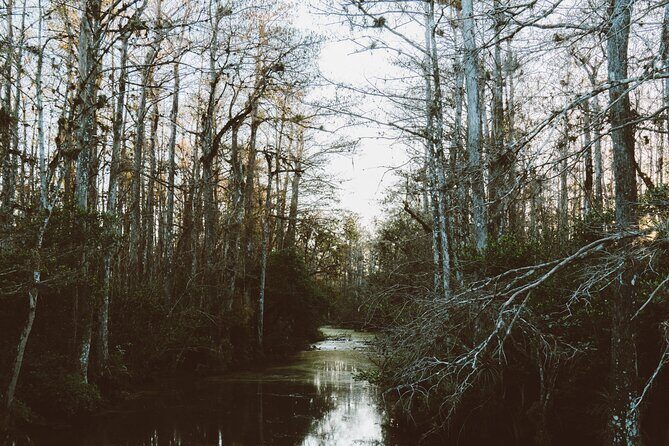 Full-Day Private Everglades and Miami City Tour - Final Thoughts: Is It Worth It?