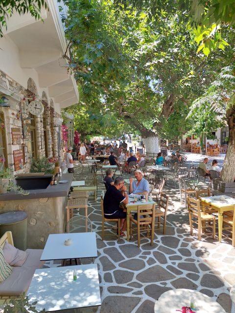 Full-Day Private food tour in Naxos local Villages - Key Points