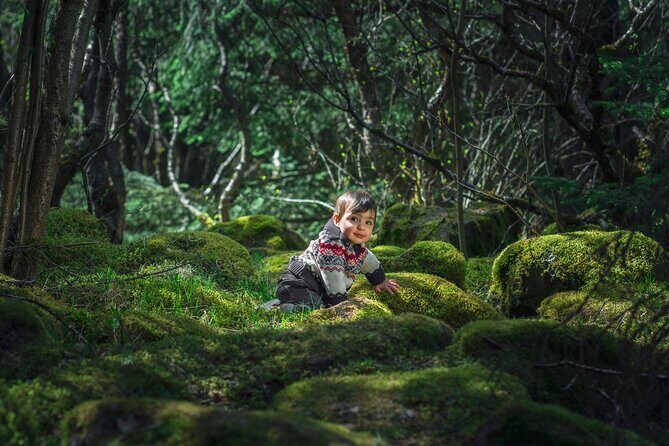 Full-Day Private Golden Circle Photography Tour in Iceland - FAQs