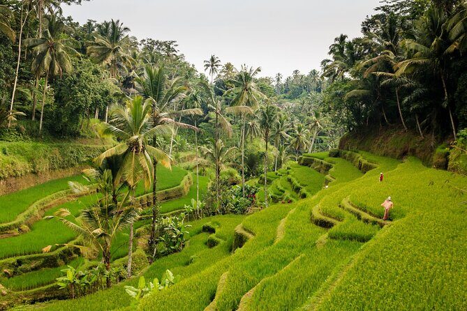 Full-Day Private Guided Exploring Bali as You Wish Tour - Why This Tour Works for Bali Explorers