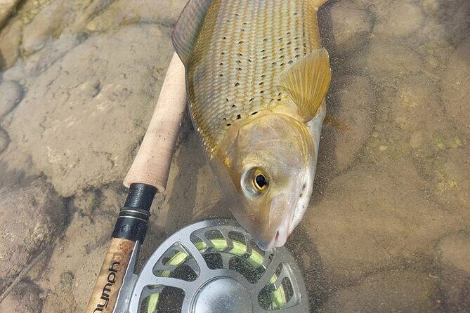 Full Day Private Guided Fishing Charter along the Isonzo Front - What to Expect from the Day
