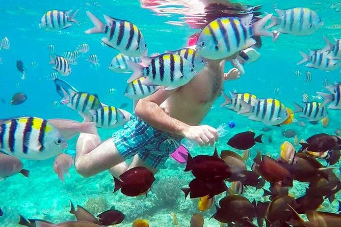 Full-Day Private Guided Lombok Snorkeling 3 Gili Islands - Why This Tour Could Be a Great Fit